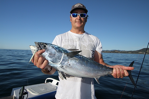 Fish Facts: Can fish really feel pain?